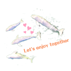 [LINEスタンプ] Wild dolphin スナメリ2 by DRONE