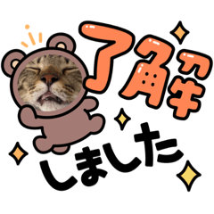 [LINEスタンプ] コタクロスタンプ