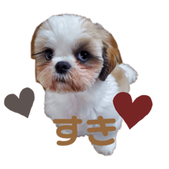 [LINEスタンプ] みんなの弟、ナビくんです。