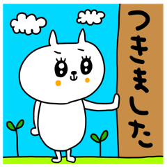 [LINEスタンプ] riekimのゆるーい白ネコさんのスタンプ