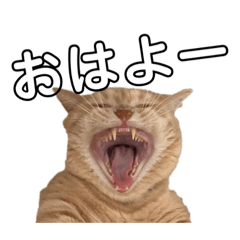 [LINEスタンプ] きなことおもち②