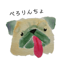 [LINEスタンプ] かもめのわんこスタンプ パグ