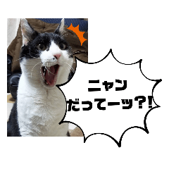 [LINEスタンプ] ボクちゃんMiniPack