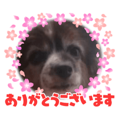 [LINEスタンプ] S・family