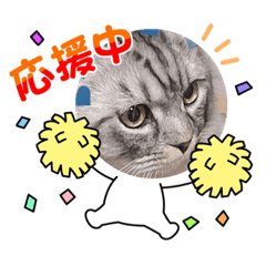 [LINEスタンプ] ノアのスた