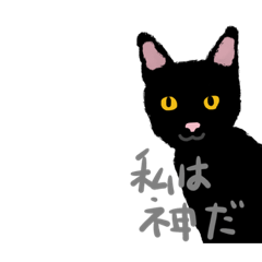 [LINEスタンプ] ねここねここね