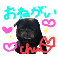 [LINEスタンプ] 愛しのげん