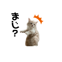 [LINEスタンプ] スタンプみいこりん