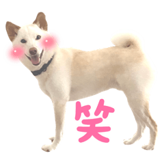 [LINEスタンプ] 諭吉10