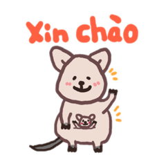 [LINEスタンプ] Con Quokka(Tiếng Việt)