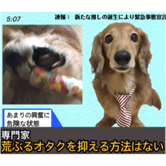 [LINEスタンプ] テレビ映像風ダックスとおまけスタンプ