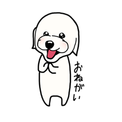 [LINEスタンプ] こうた(トイプードル犬)のスタンプ