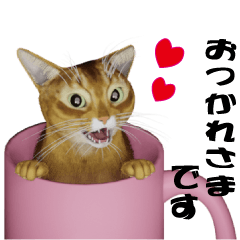 [LINEスタンプ] 毎日使える敬語スタンプ 猫のメル