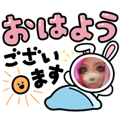 [LINEスタンプ] めろスタごちゃまぜスタンプ¹2段☆