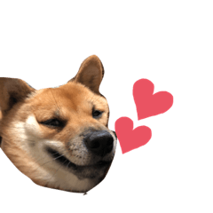 [LINEスタンプ] ポンやんです