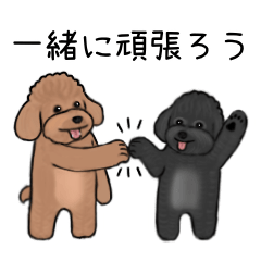 [LINEスタンプ] プードルクラブ（日本語版）