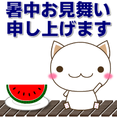 [LINEスタンプ] 人に優しい白いネコ 夏 暑中見舞い等も