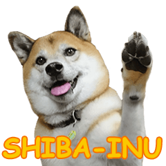 [LINEスタンプ] Shiba Inu VETTEL