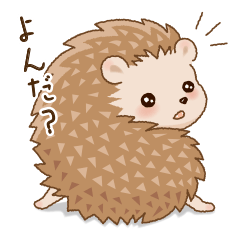 [LINEスタンプ] ちいさなかわいいハリネズミたち