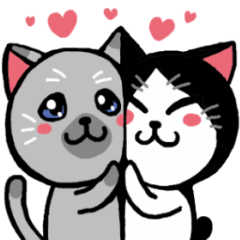 [LINEスタンプ] 日常で使える可愛い猫のスタンプセット！