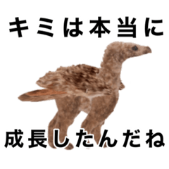 [LINEスタンプ] 変体生物モモ