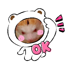 [LINEスタンプ] いつでも使えるスタンプ いつも一緒