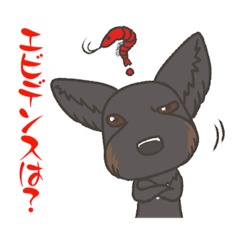 [LINEスタンプ] せさみすたんぷ