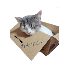 [LINEスタンプ] 犬猫おもしろスタンプ