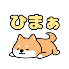 [LINEスタンプ] 可愛い3種類の犬のスタンプ！