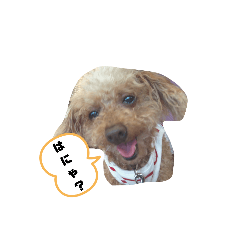 [LINEスタンプ] まろりんの日常2