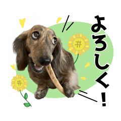 [LINEスタンプ] 楽しいカレンの日常♫