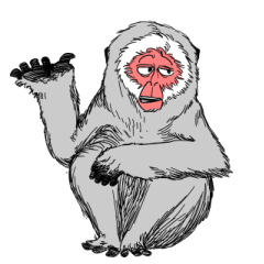 [LINEスタンプ] ものわかりのいいさる