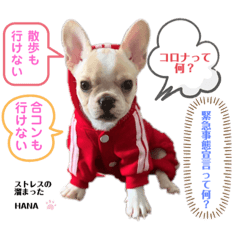 [LINEスタンプ] フレブル女子〜HANA〜