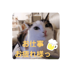 [LINEスタンプ] TAMA x KIKI ②