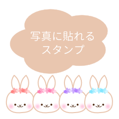 [LINEスタンプ] 写真に貼れる♡ふんわりうさぎスタンプ