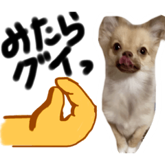 [LINEスタンプ] 酒呑み犬の気持ち