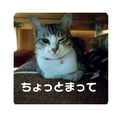 [LINEスタンプ] リモちゃん3