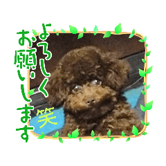 [LINEスタンプ] ブラウンプードル笑2