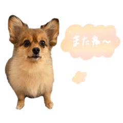 [LINEスタンプ] ジャスミンスタンプ.