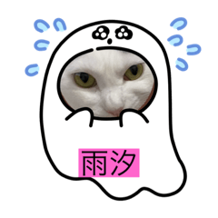 [LINEスタンプ] うっちゃんとガッシーねこーずスタンプ