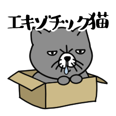 [LINEスタンプ] 動く！エキゾチック猫のスタンプの画像（メイン）