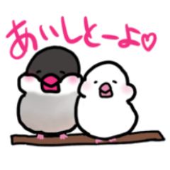 [LINEスタンプ] ゆるーい文鳥スタンプ(博多弁)