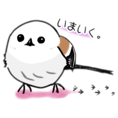 [LINEスタンプ] シマエナガのエナちゃん