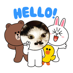 [LINEスタンプ] コラボ（ニア＆チョビ）