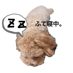 [LINEスタンプ] 愉快なといぷー♪