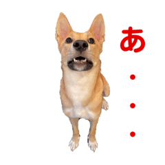 [LINEスタンプ] ウッディだワンワン