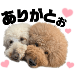 [LINEスタンプ] 今日のひまこも⑤