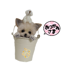 [LINEスタンプ] いぬちゃんとねこちゃん③