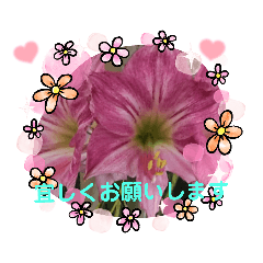 [LINEスタンプ] トモスタ2