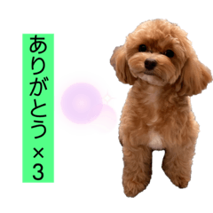 [LINEスタンプ] Ivyとお友達のスタンプ2